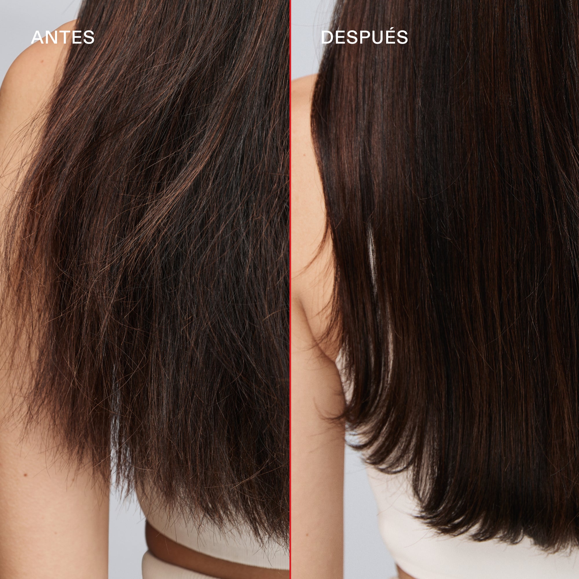 Nº.5 LEAVE-IN MOISTURIZE & MEND LEAVE-IN CONDITIONER